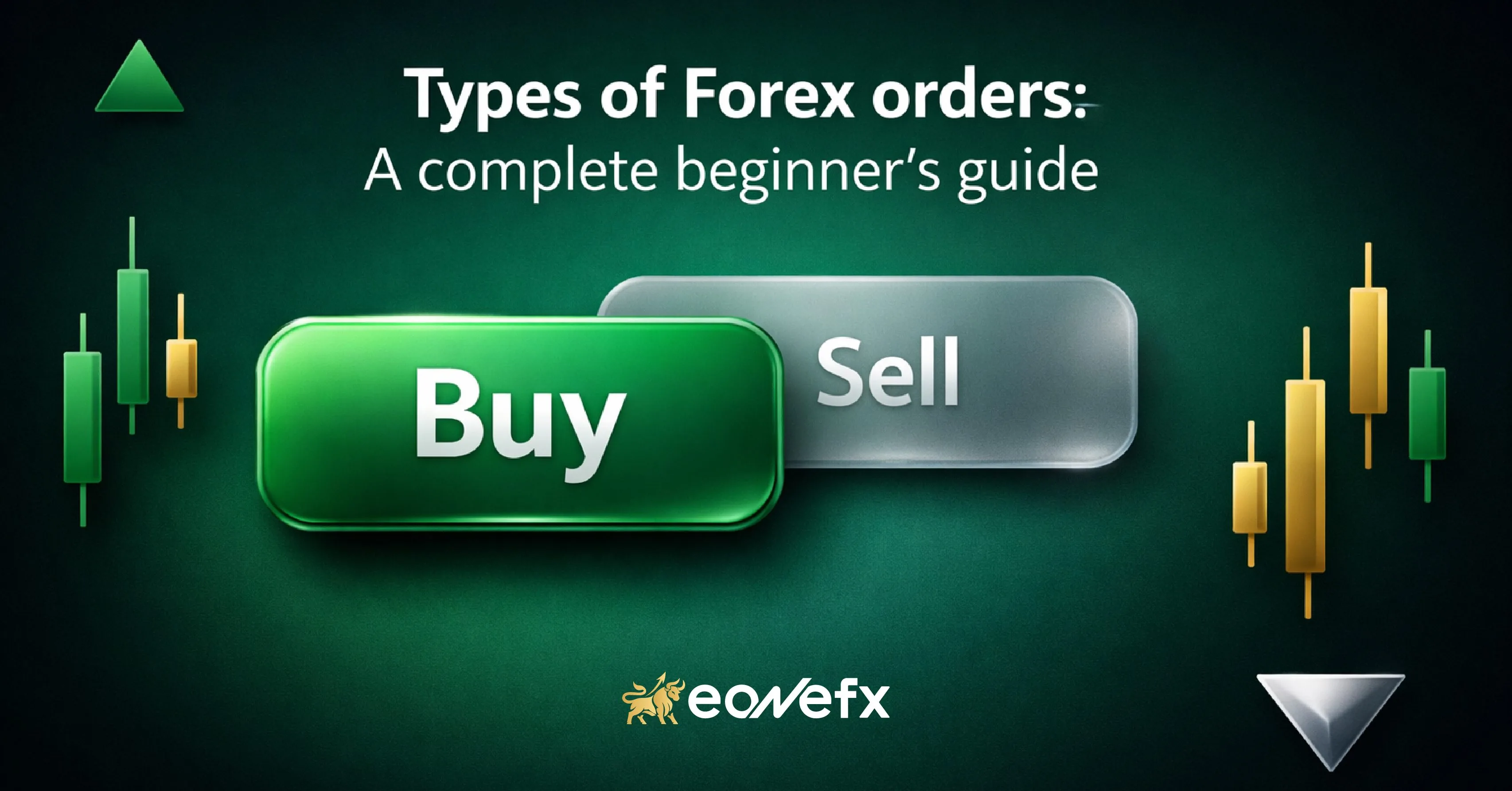 Types of Forex orders: A complete beginner’s guide
