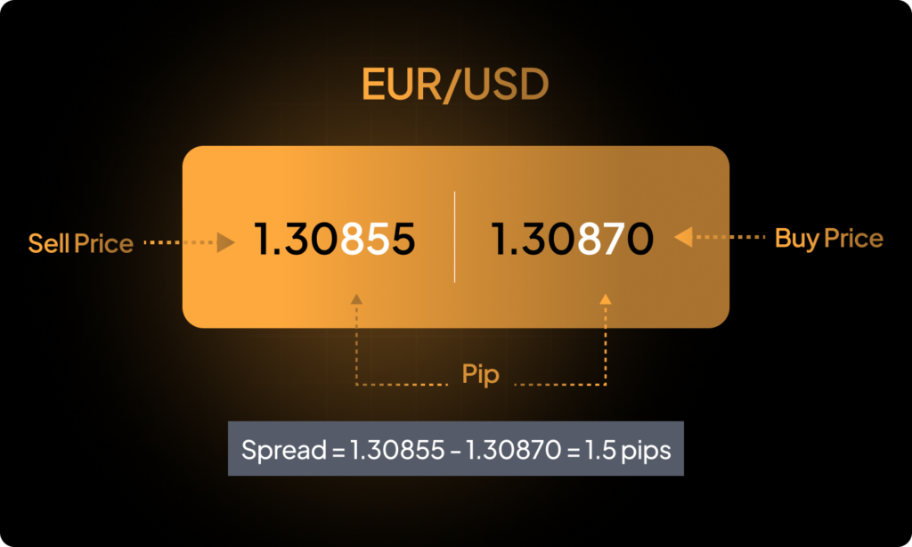 A striking display of euro and dollar notes against a black backdrop, symbolizing the dynamics of Forex spreads.