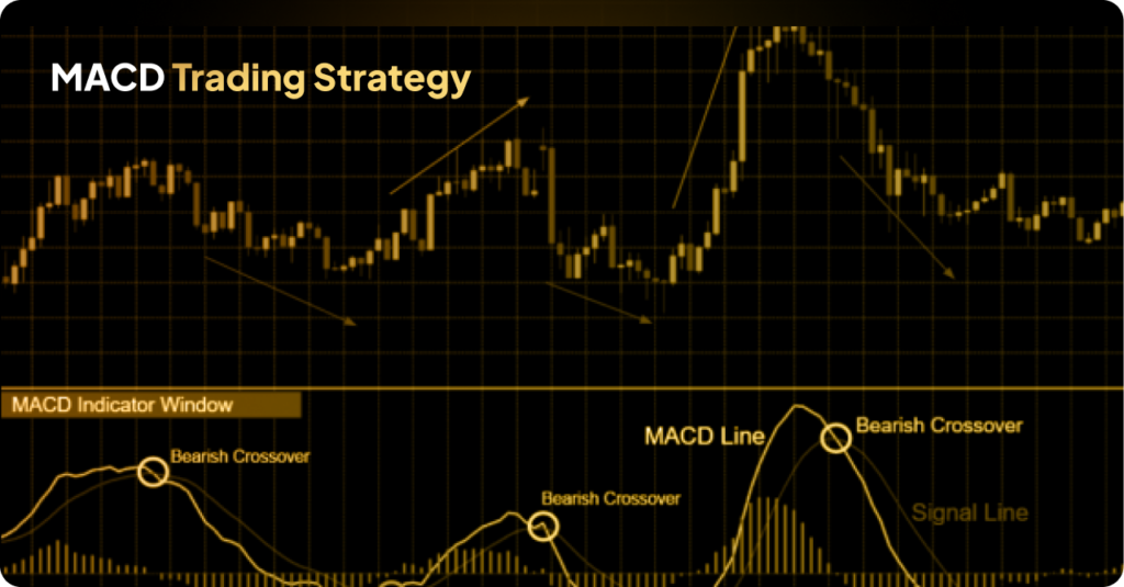 Visual representation of MACD trading strategy, highlighting key indicators and trends for successful market analysis.