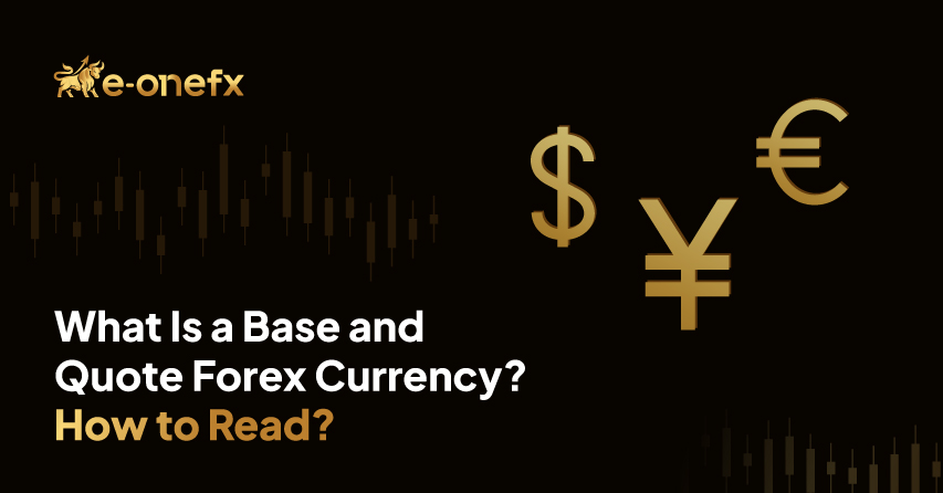 What Is a Base and Quote Forex Currency? How to Read?